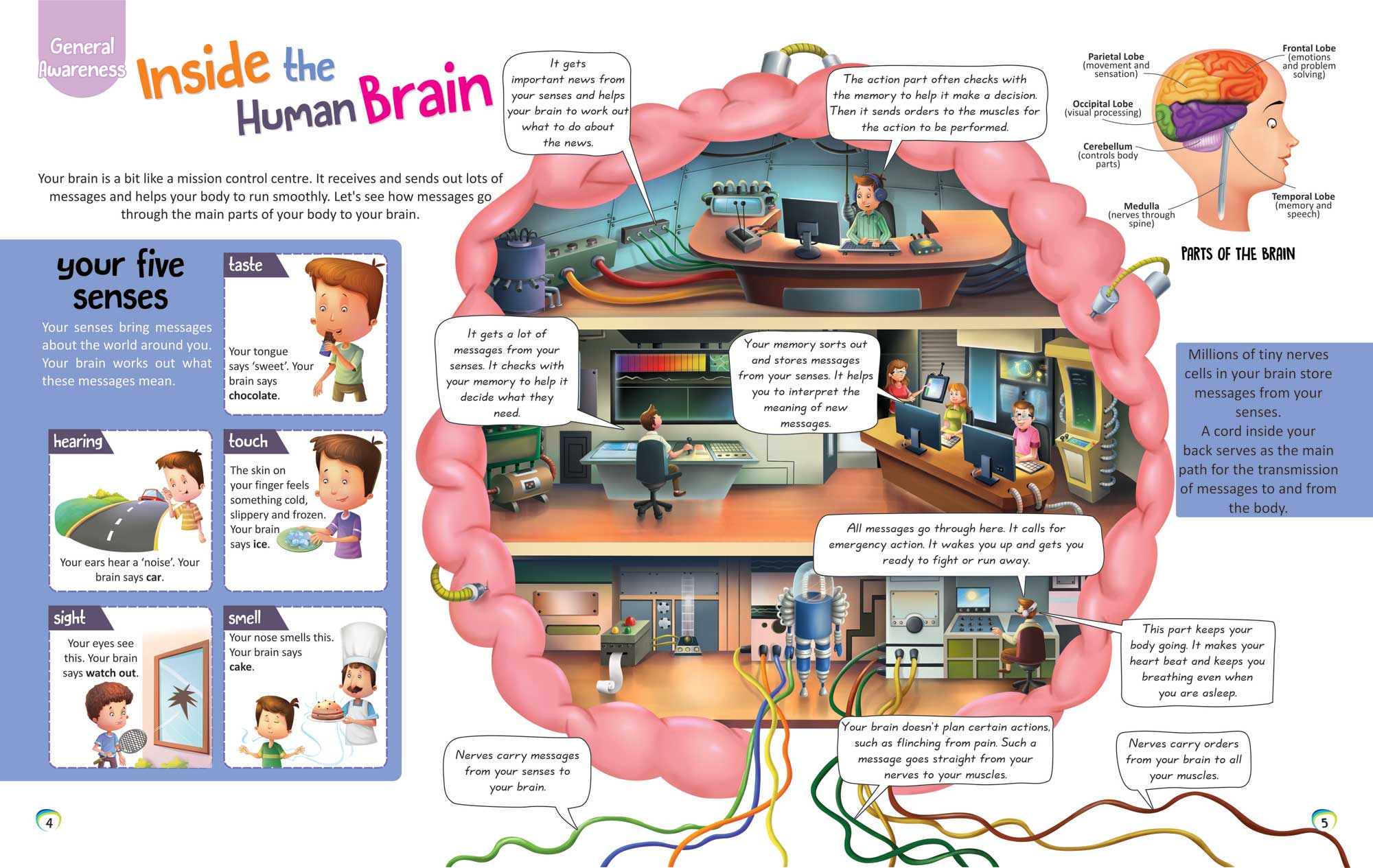 Inside the Human Brain